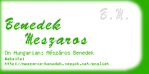 benedek meszaros business card